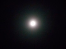 満月-(1280x960)